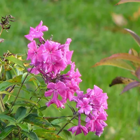 Bed & Breakfast Aux 3 Pommiers Latouille-Lentillac